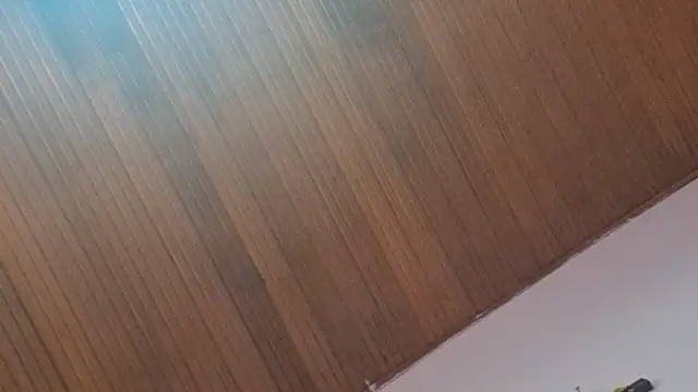 Snapshot of kyliebigboobs chatting on 09-30-25, 02:00 kyliebigboobs online show from 09-30-25, 02:00