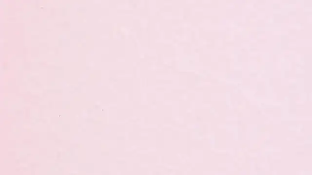 JhoanLeandro online show from 04-11-26, 04:17