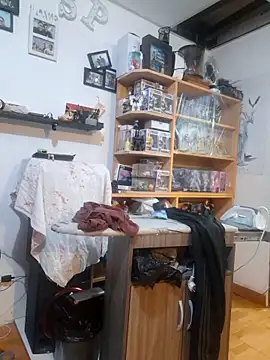 Snapshot of rodos chatting on 09-10-25, 12:49 rodos online show from 09-10-25, 12:49