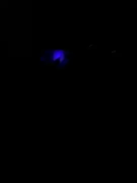Avignon1963 online show from 05-26-26, 10:11