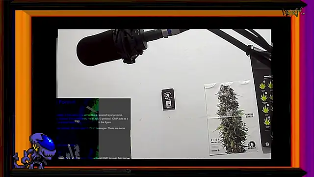 ReyDeBotones online show from 03-13-25, 11:38