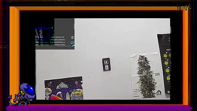 ReyDeBotones online show from 03-14-25, 09:00