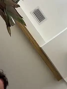 Bicho13132 online show from 10-05-25, 06:23