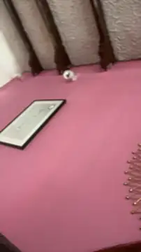 Valu euphoria online show from 11-28-25, 08:22