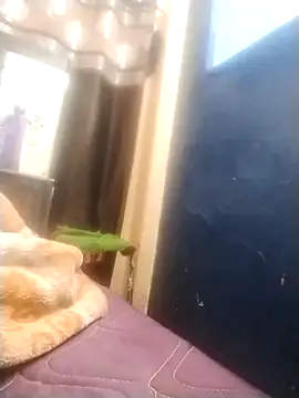 Snapshot of neha007-K chatting on 03-10-25, 07:18 neha007-K online show from 03-10-25, 07:18