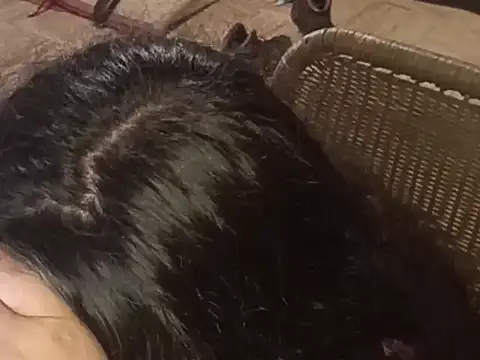 isabellapurple online show from 03-05-26, 02:07