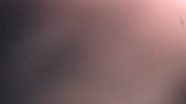 Dhalila  online show from 12-17-25, 01:17