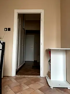 Budibudi5 online show from 11-27-25, 09:11