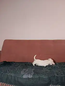 Snapshot of Jehan_Soto chatting on 09-09-25, 05:12 Jehan Soto online show from 09-09-25, 05:12