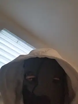 Bigdick420anal online show from 02-04-26, 06:41