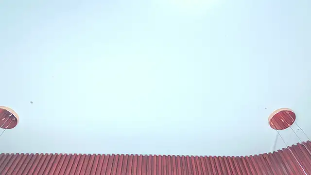 YesyHills online show from 05-20-26, 11:49