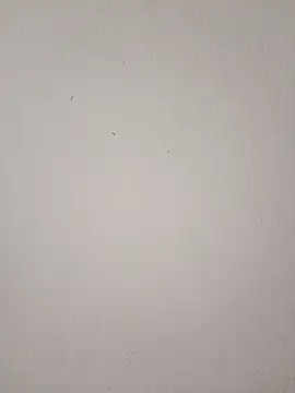 EmmaSulivan online show from 03-09-26, 11:03