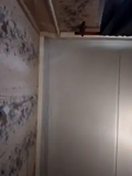 AliniX online show from 03-07-26, 10:23