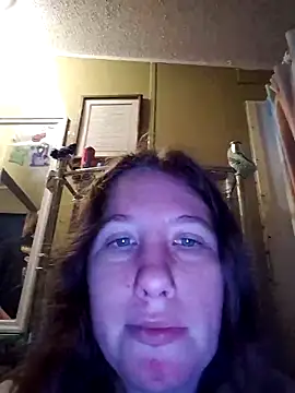 Seductivefoxyxh online show from 11-25-25, 09:31