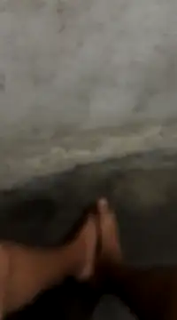 Snapshot of Pikao7 chatting on 03-21-25, 08:29 Pikao7 online show from 03-21-25, 08:29