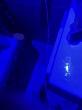 gryzoon online show from 03-20-26, 05:12