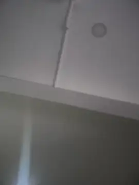 Mila LS online show from 11-26-25, 12:50