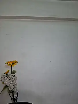 Noor-Bold online show from 11-07-25, 02:00