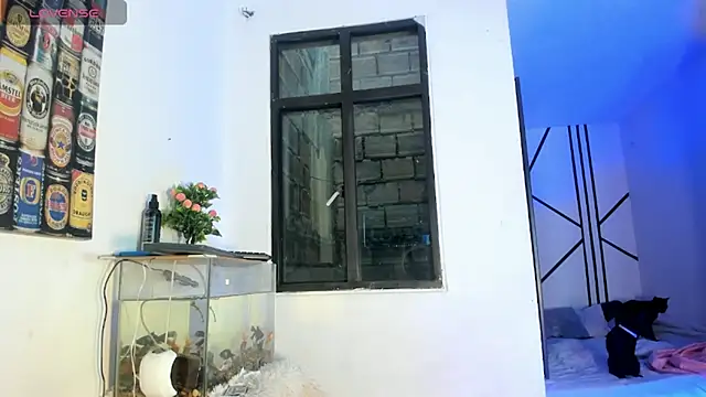 CRAZY-BOY99 online show from 02-11-26, 11:37