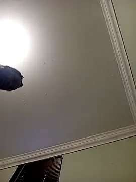 Latte1204 online show from 04-22-26, 05:21