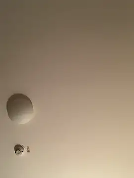 Saysay-7 online show from 11-20-25, 11:26