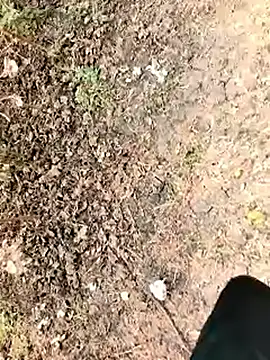 Snapshot of himvilohi08 chatting on 01-07-26, 06:16 himvilohi08 online show from 01-07-26, 06:16