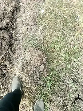 Snapshot of himvilohi08 chatting on 01-18-26, 04:05 himvilohi08 online show from 01-18-26, 04:05