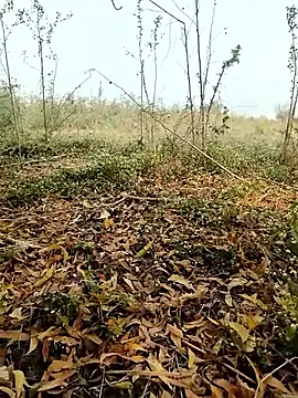 Snapshot of himvilohi08 chatting on 02-04-26, 04:07 himvilohi08 online show from 02-04-26, 04:07