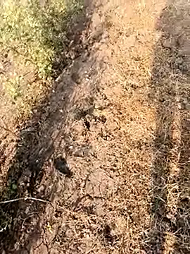 Snapshot of himvilohi08 chatting on 02-28-26, 03:07 himvilohi08 online show from 02-28-26, 03:07