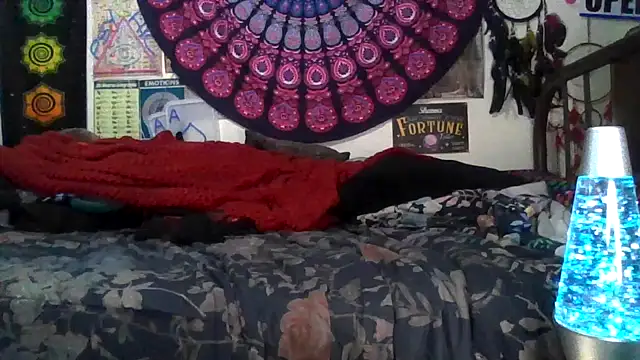 GardeniaFields online show from 02-11-26, 04:50