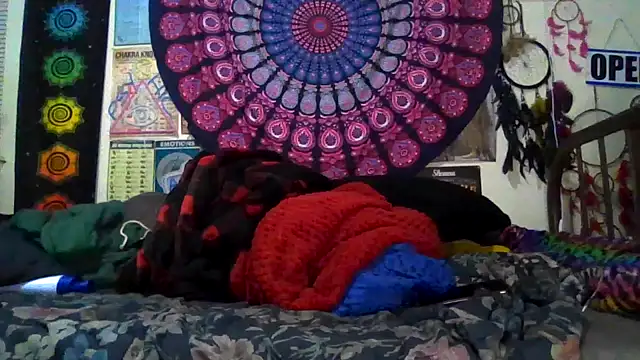 GardeniaFields online show from 03-08-26, 09:57