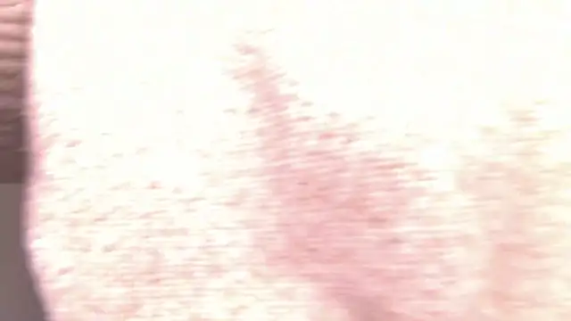 MiraBliss online show from 02-22-26, 10:19