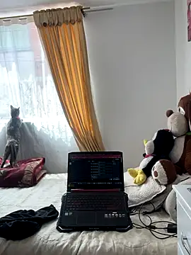 Snapshot of VictoriaGerard_Pink chatting on 11-07-25, 04:40 VictoriaGerard Pink online show from 11-07-25, 04:40