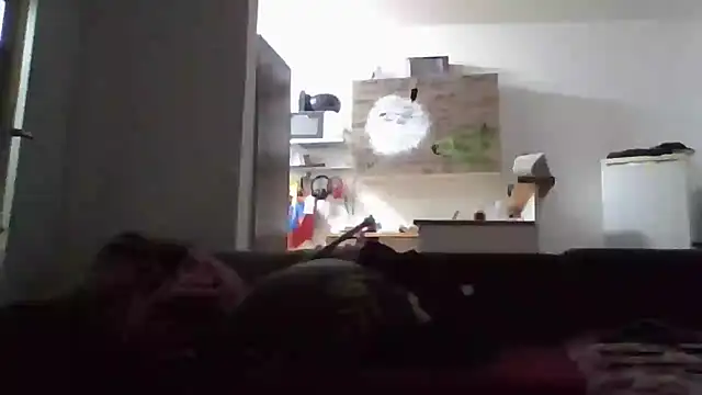 Snapshot of ThePython666 chatting on 11-17-25, 05:08 ThePython666 online show from 11-17-25, 05:08