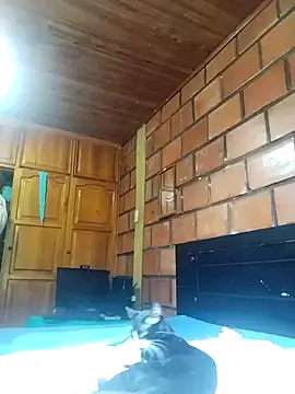 Snapshot of Lady_Lolla11 chatting on 12-16-25, 04:23 Lady Lolla11 online show from 12-16-25, 04:23