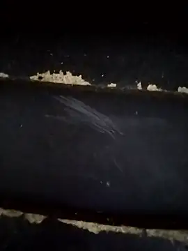 Snapshot of Lady_Lolla11 chatting on 01-18-26, 06:12 Lady Lolla11 online show from 01-18-26, 06:12