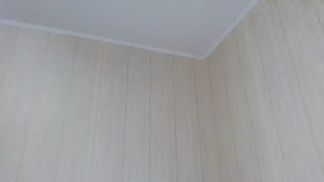  Black-Panther  online show from 10-02-25, 10:55