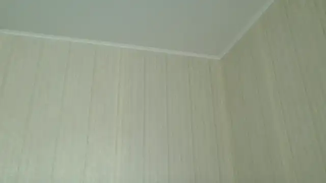  Black-Panther  online show from 04-25-26, 07:55