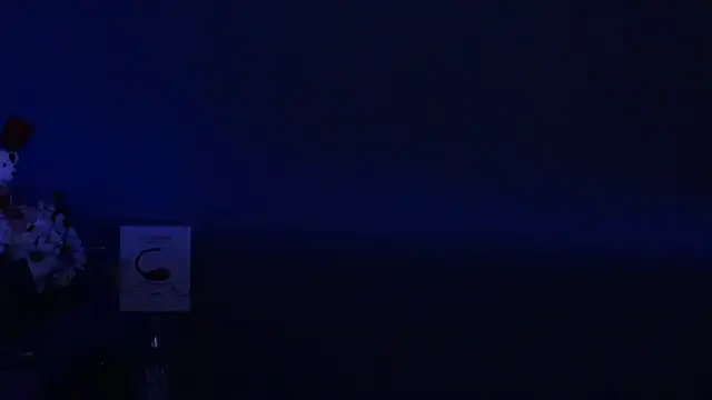 Snapshot of Amesthyst_destiny chatting on 03-22-25, 03:20 Amesthyst destiny online show from 03-22-25, 03:20