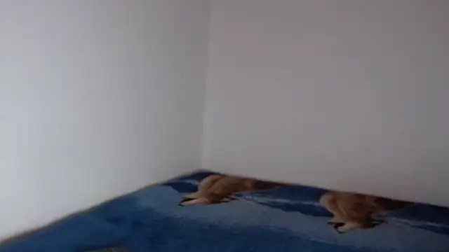 sharon sexy  online show from 11-23-25, 08:41