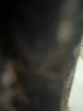 Snapshot of dilu98 chatting on 02-21-26, 02:01 dilu98 online show from 02-21-26, 02:01