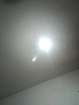 calfran online show from 02-12-26, 05:35