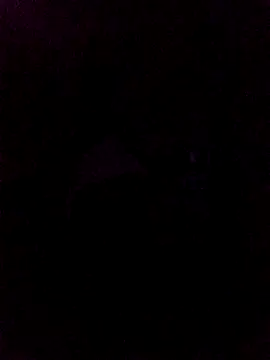 WALESKABBW ASS online show from 04-24-26, 11:23