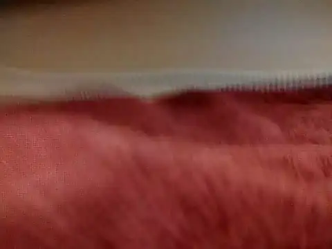 sexiebabi online show from 03-16-26, 02:21