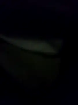 Hema0Hema online show from 02-21-26, 10:33