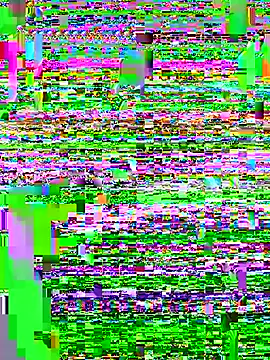 Punjabi Jaati online show from 12-19-25, 02:46