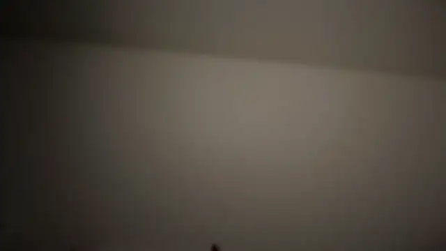 refem9 online show from 04-25-26, 09:23