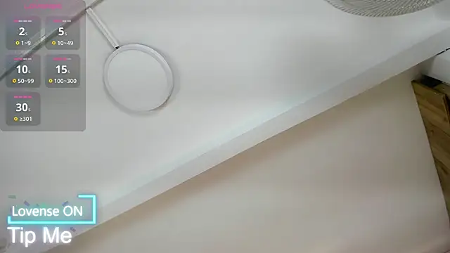 Snapshot of VICTORIAGRAYS chatting on 11-29-25, 11:24 VICTORIAGRAYS online show from 11-29-25, 11:24