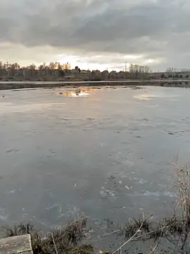 Snapshot of elliot_scott chatting on 10-22-25, 10:37 elliot scott online show from 10-22-25, 10:37