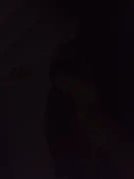 Snapshot of Sexxoophone chatting on 07-03-26, 03:35 Sexxoophone online show from 07-03-26, 03:35